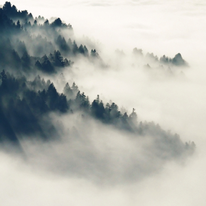 91丨国产丨熟女大屁股
